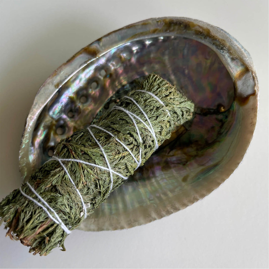 Cedar (Cedrus) Smudge Stick Guide – Maison Éthérique