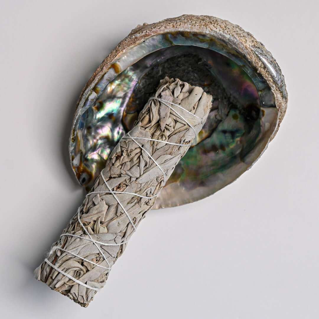 White Sage Smudge tick on Abalone Shell