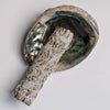 White Sage Smudge tick on Abalone Shell
