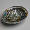 Load image into Gallery viewer, Abalone Shell 5-6 inches by Maison Etherique