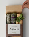 Botanical Set Warmth 12