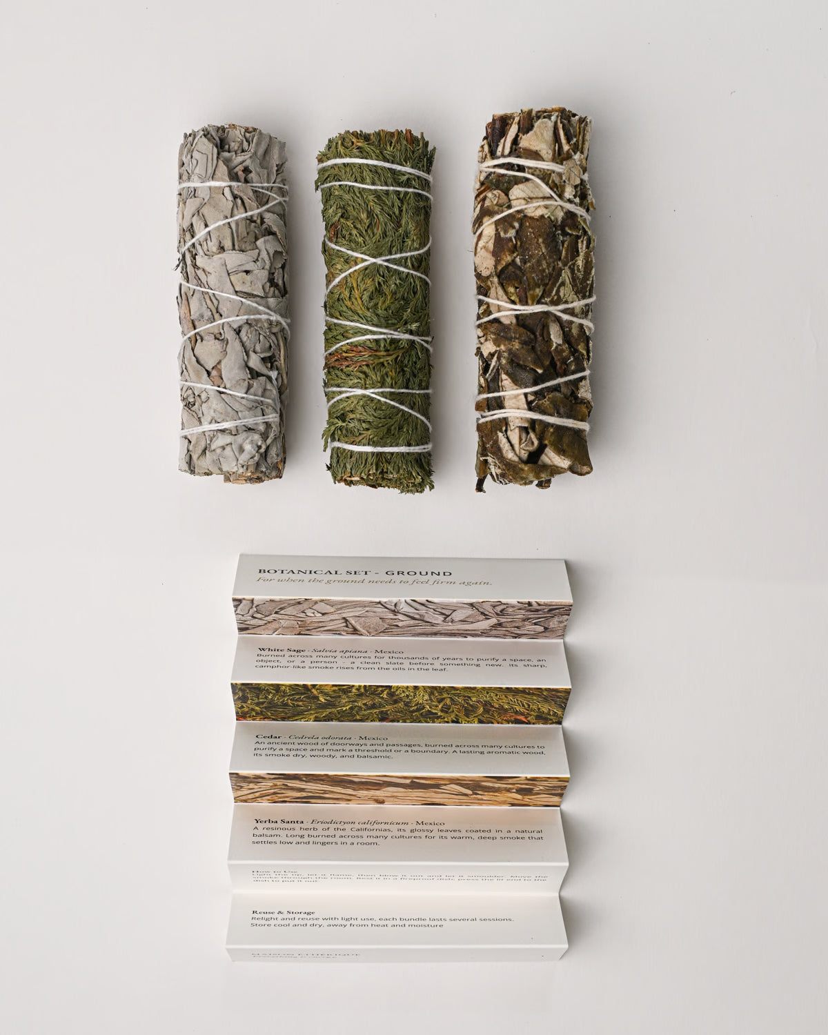 Botanical Set ground 15