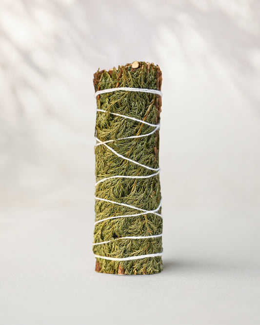 Cedar Smudge Stick (Cedrus) Mexico