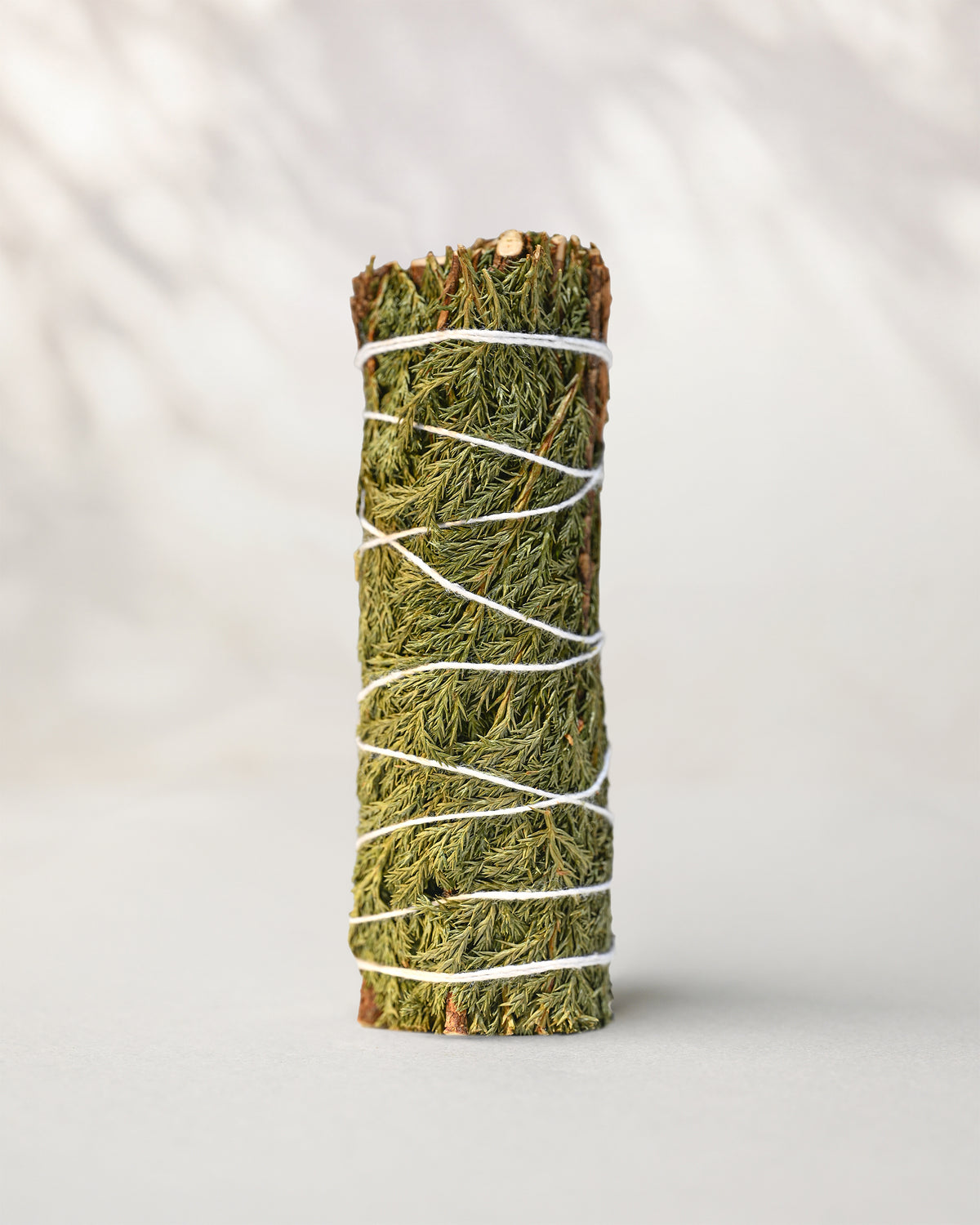 Cedar smudge stick standing upright, green cedar sprigs bound with white string, on a pale surface.