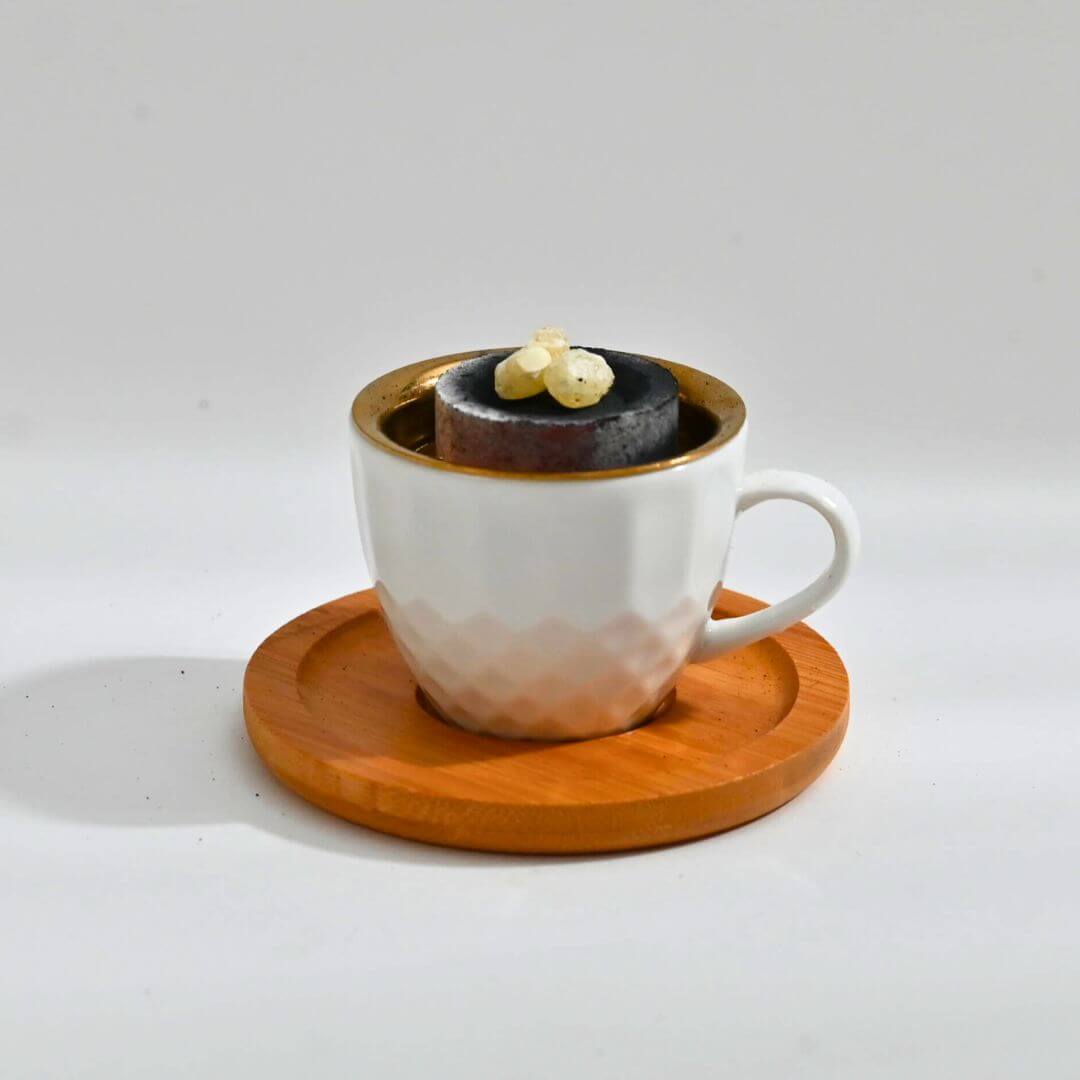 Charcoal Tablets for Resin Incense Burning 1 Box