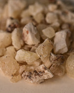 Close up of white copal
