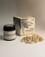 Hojari Frankincense (Boswellia Sacra) Oman