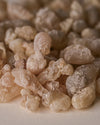 Hojari Frankincense (Boswellia Sacra) Oman