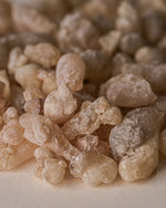 Hojari Frankincense (Boswellia Sacra) Oman