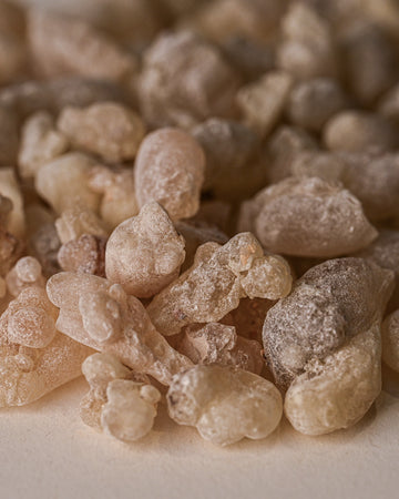 Hojari Frankincense (Boswellia Sacra) Oman