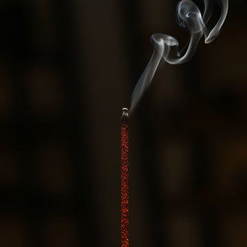 Red Sandalwood