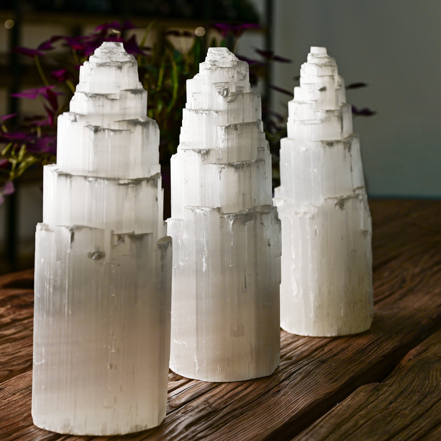 Selenite Crystals