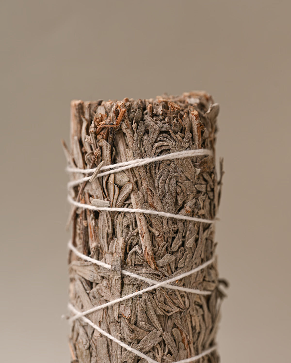 Details of Blue sage
