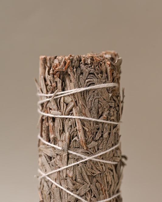 Details of Blue sage
