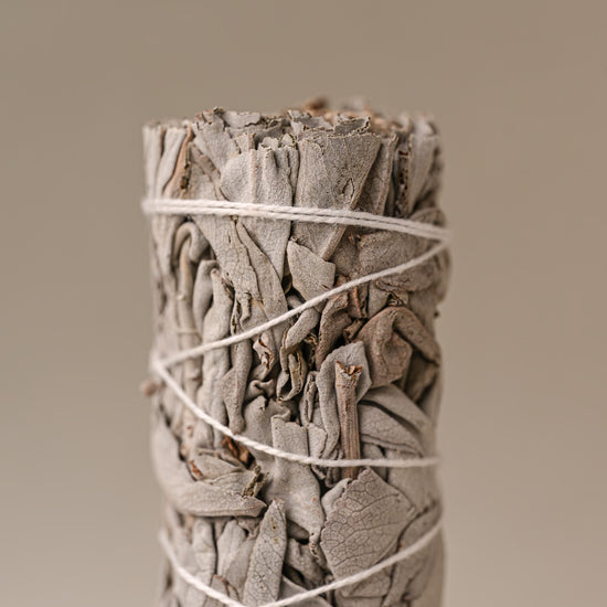Details of White sage