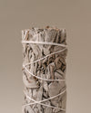 Details of White sage