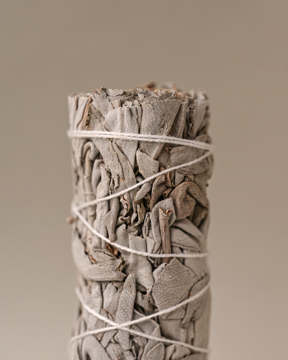Details of White sage