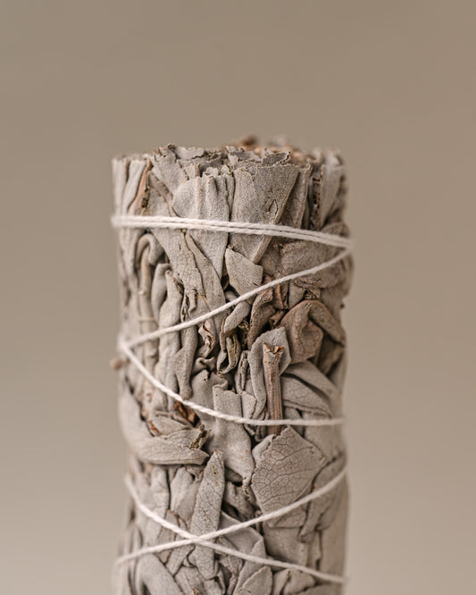Details of White sage