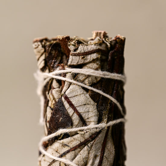 Details of Yerba santa sage