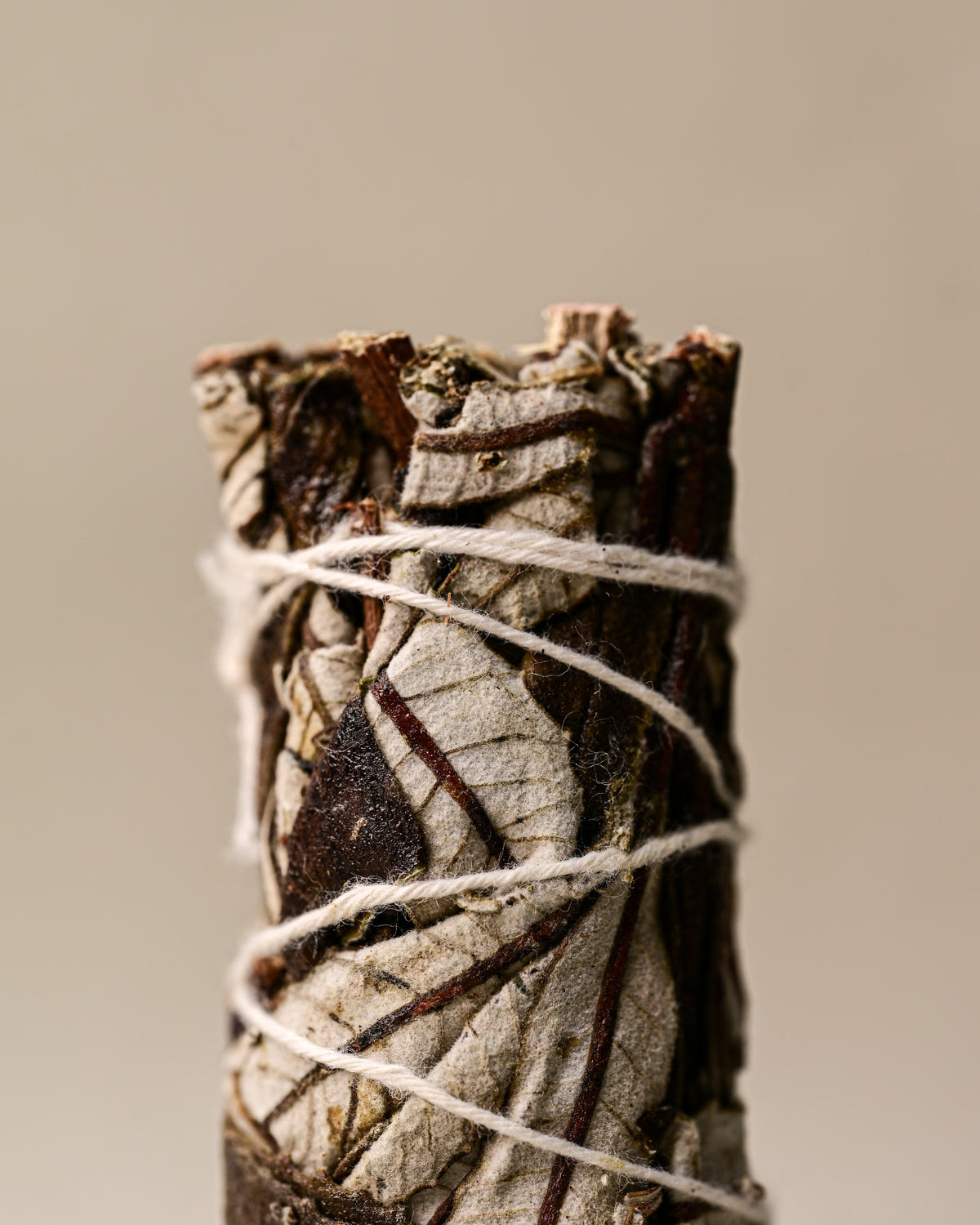 Details of Yerba santa sage