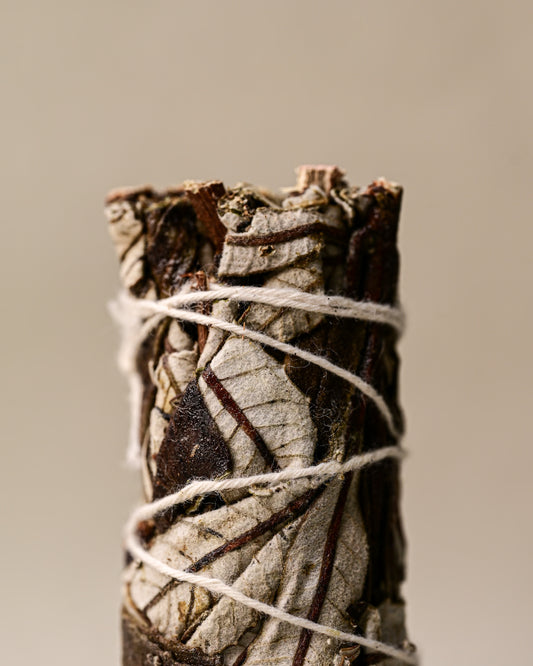 Details of Yerba santa sage
