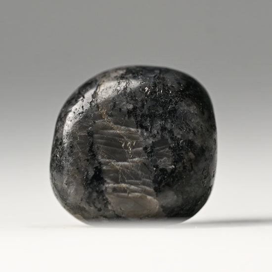 Larvikite Tumbled Stone 3