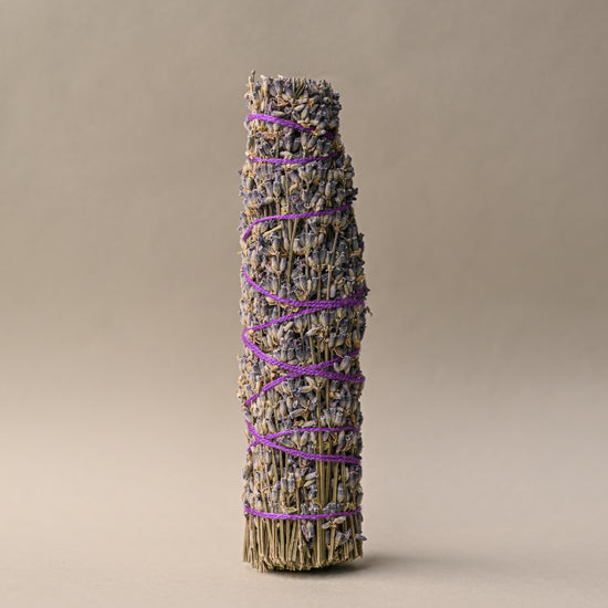 Single Lavender sage 