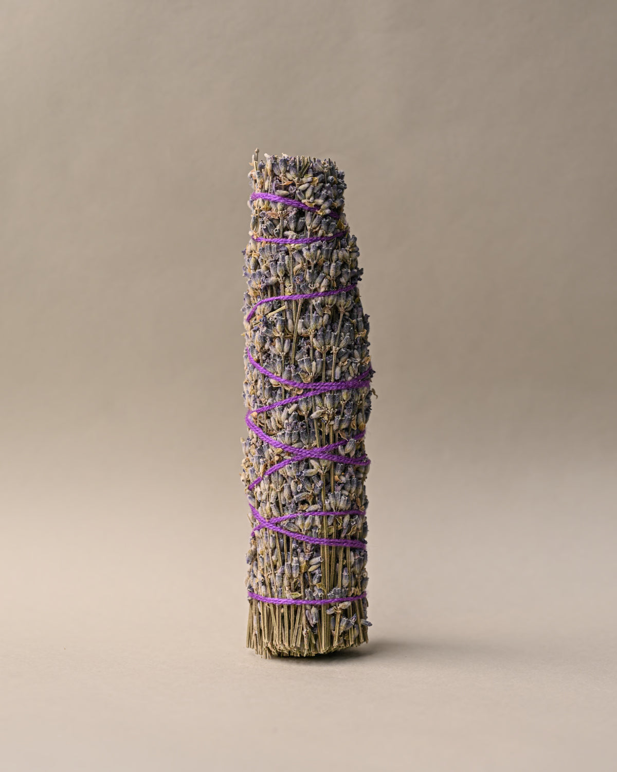 Single Lavender sage 