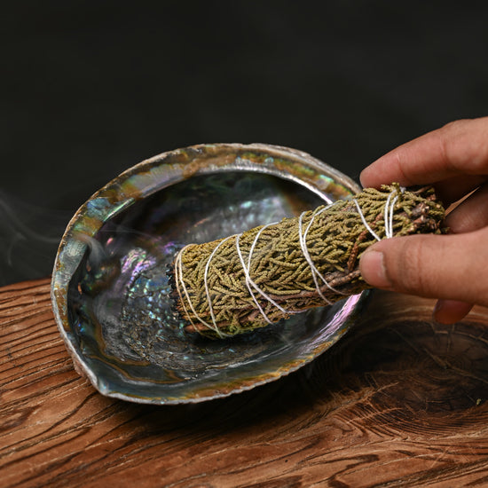 Natural Abalone Shell 22
