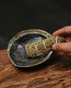 Natural Abalone Shell 22