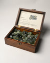 Prehnite_Tumbled_Stone_5