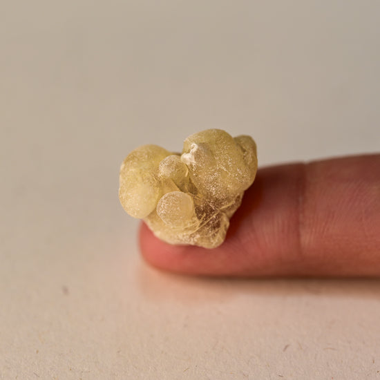 Single piece of Frankincense
