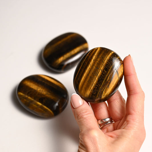 Tiger Eye holding on Hand