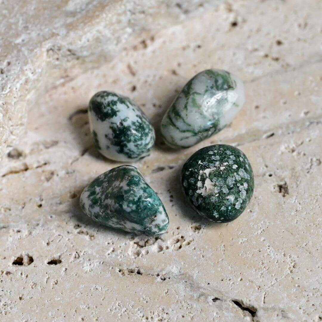Timbled Tree Tree Agate Tumbled Stone