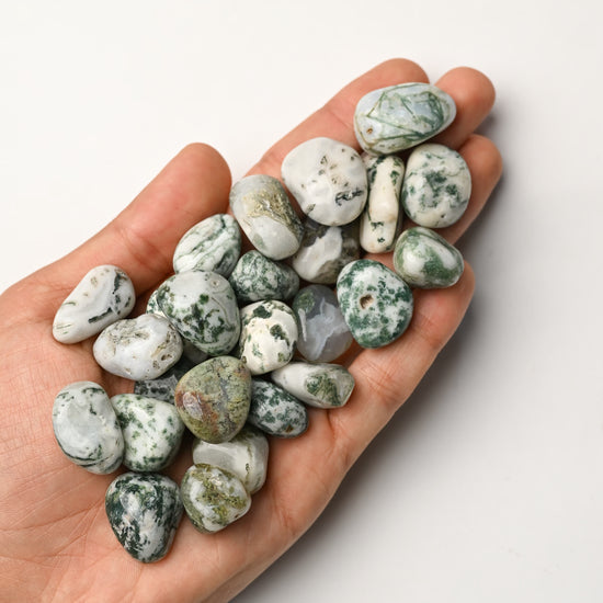 Tree Agate Tumbled Stone 1