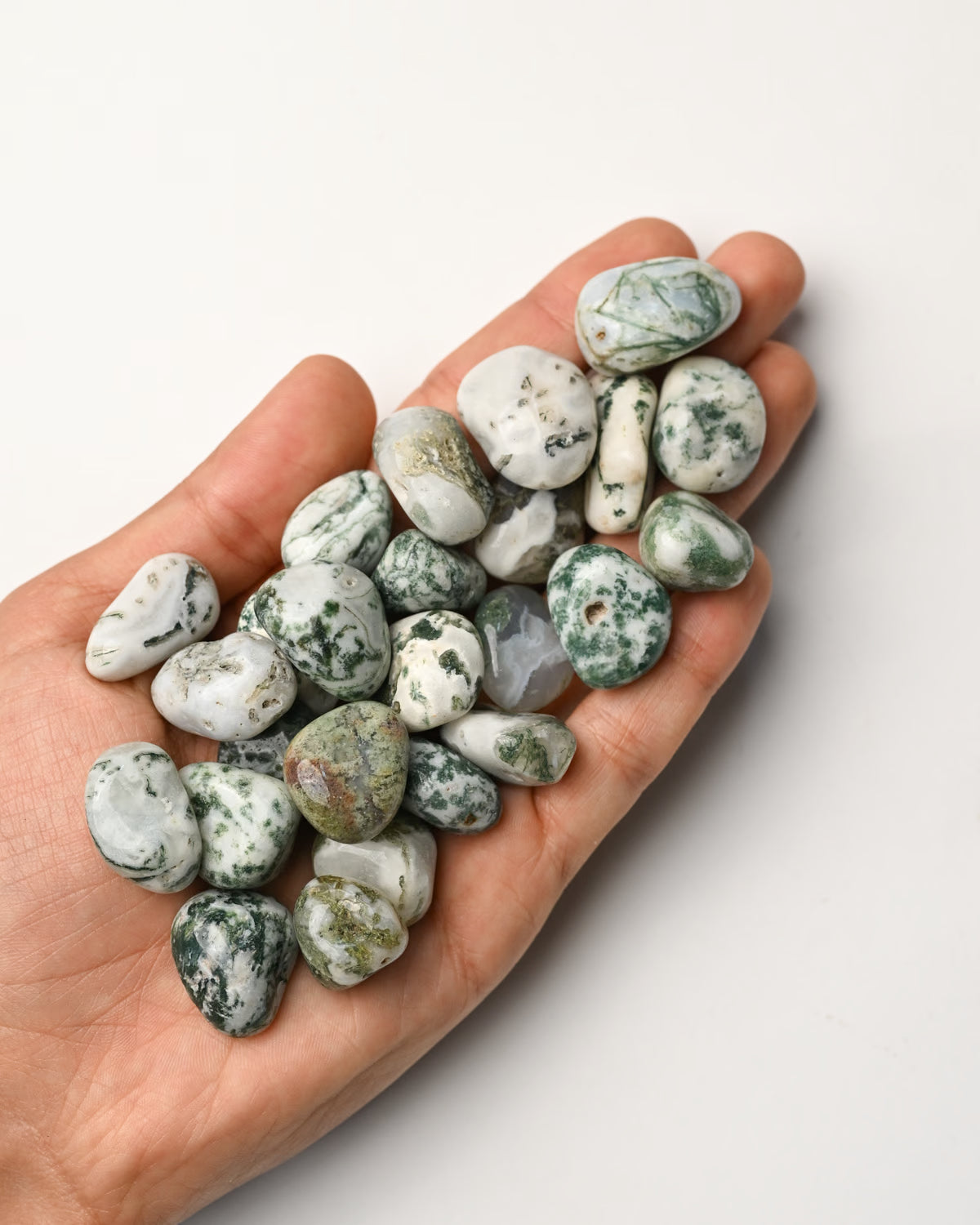 Tree Agate Tumbled Stone 1
