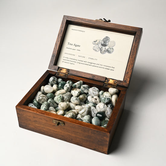 Tree_Agate_Tumbled_Stone_5