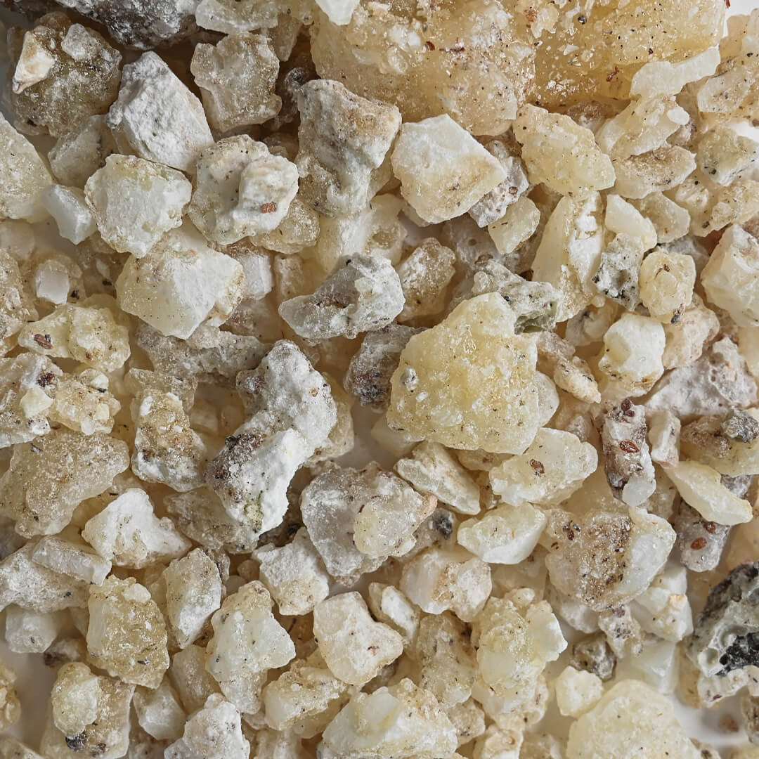  White Copal from Mexico