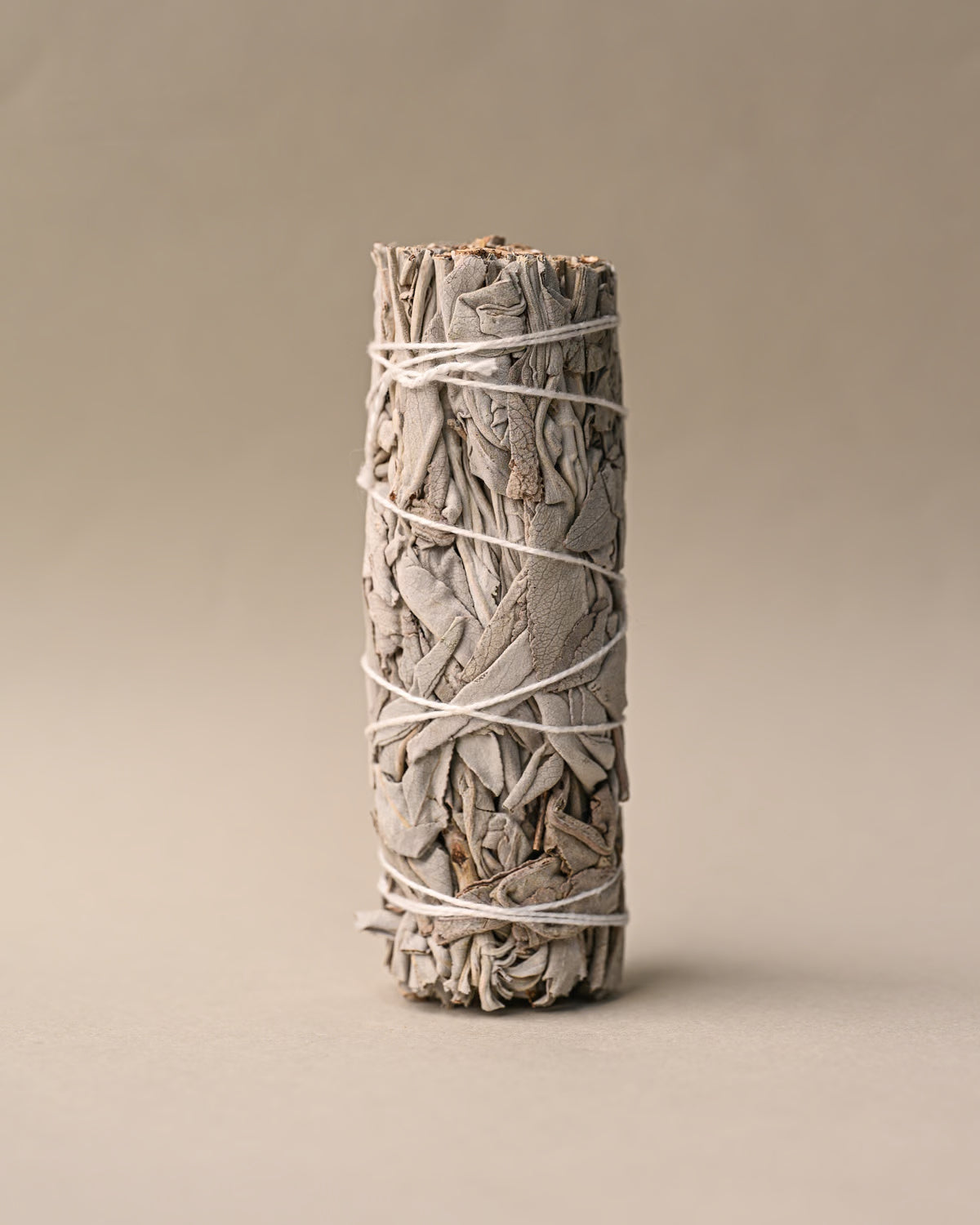 White sage smudge stick