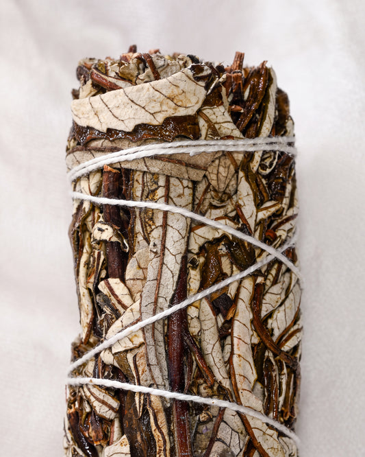 Yerba Santa Smudge Stick (Eriodictyon Californicum)