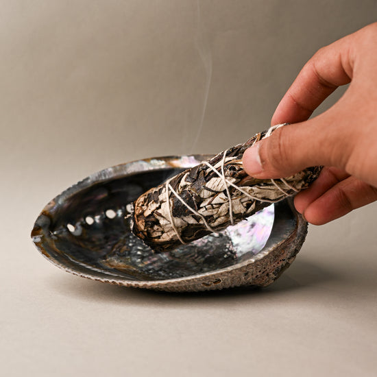 Yerba santa sage on Abalone shell