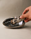Yerba santa sage on Abalone shell