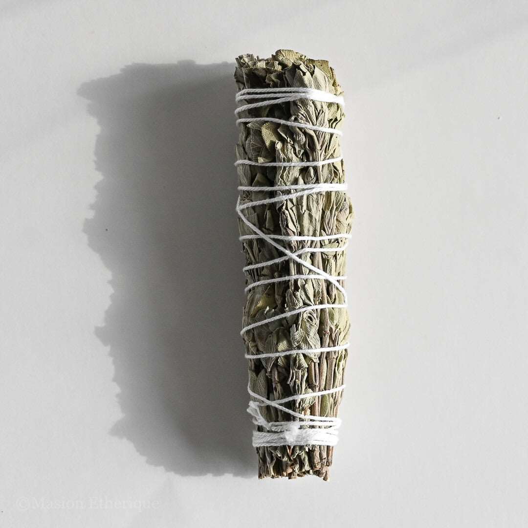 Blue Sage Smudge Stick placed in the Sun