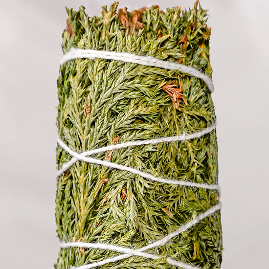 Cedar smudge stick, dried green cedar sprigs bound with white string, shown close against a pale background.