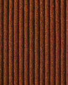 close-up_Nag_Champa_Incenses
