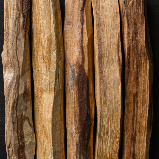 close-up of Palo Santo 