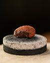 Piece of Dragon's Blood resin resting on a charcoal disc before burning.