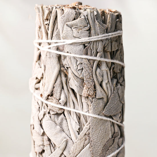 White sage smudge stick (Salvia apiana), dried silver-grey leaves bound with white string, against a pale background.