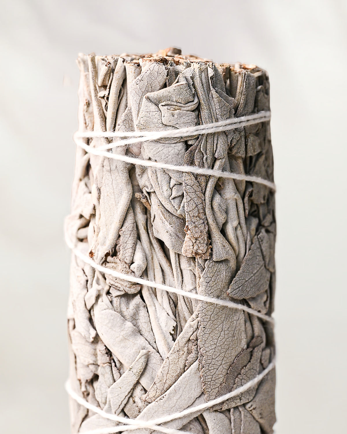 White sage smudge stick (Salvia apiana), dried silver-grey leaves bound with white string, against a pale background.