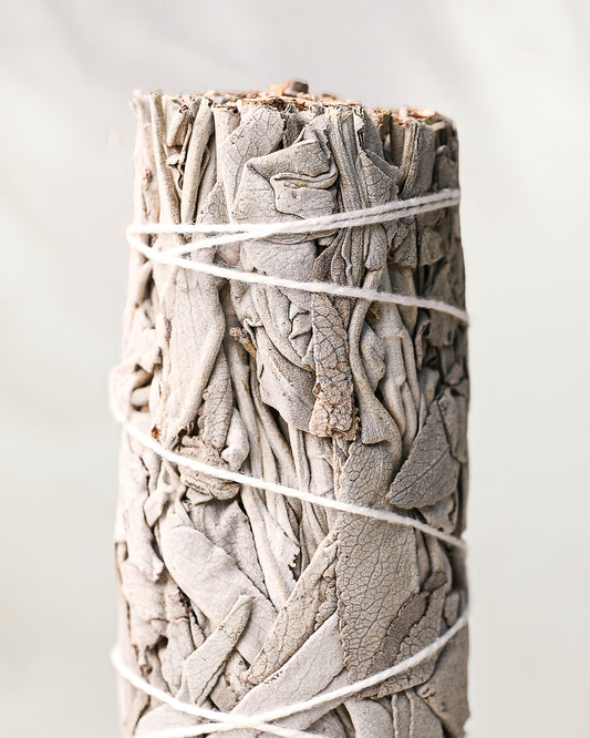 White Sage Smudge Stick (Salvia Apiana) Mexico